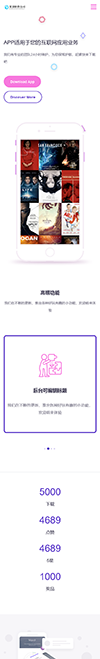 响应式网络软件网站模板 - 手机端